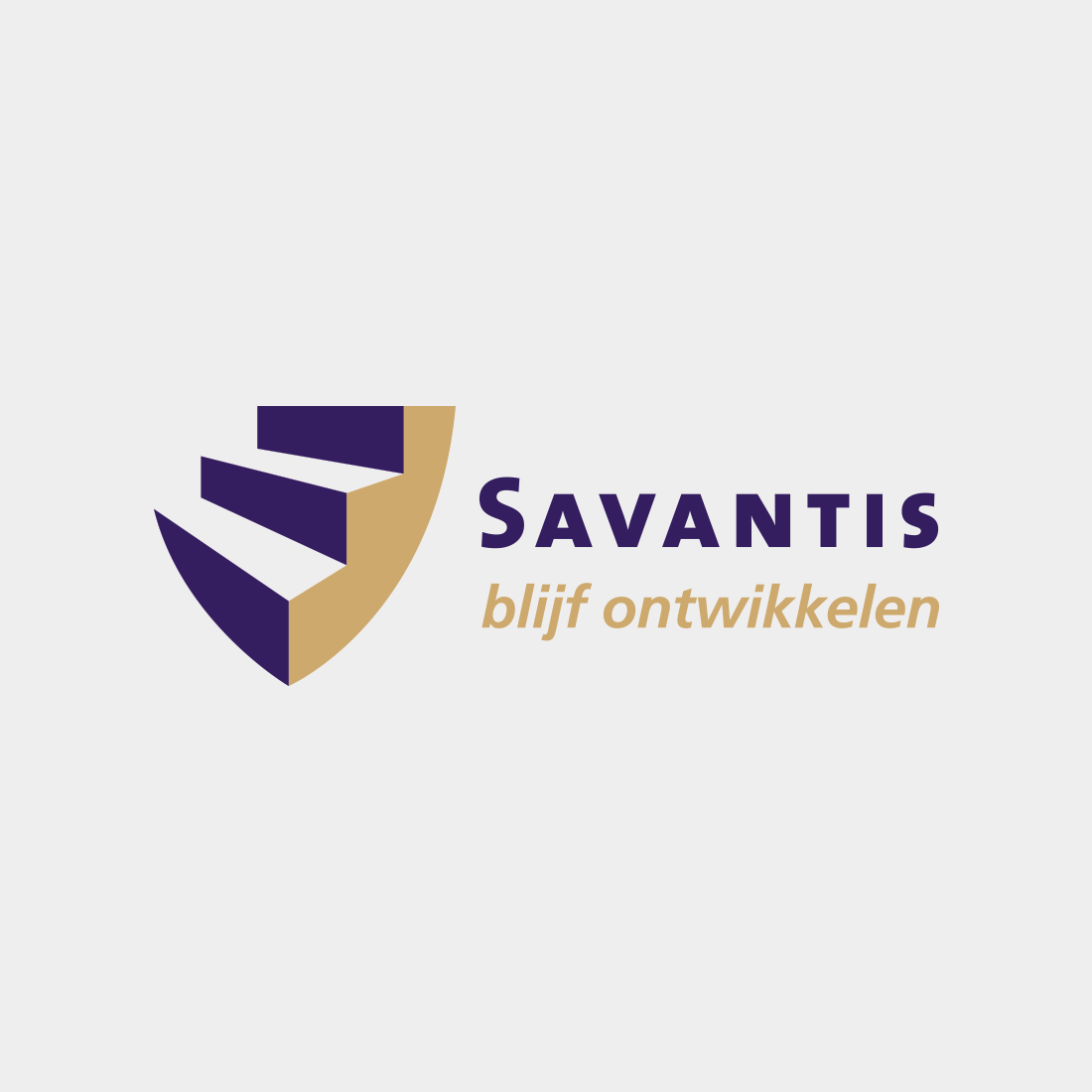 Savantis Aptitude Test